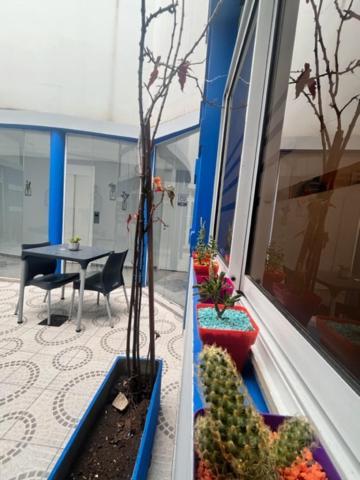 Hotel Atepsa Buenos Aires Extérieur photo